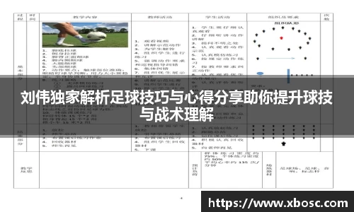 刘伟独家解析足球技巧与心得分享助你提升球技与战术理解